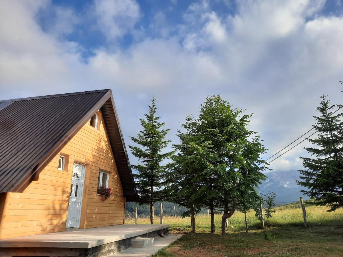 Vila Aleksandar Žabljak Esterno foto