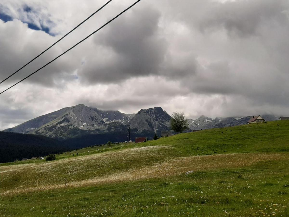 Vila Aleksandar Villa Žabljak Esterno foto