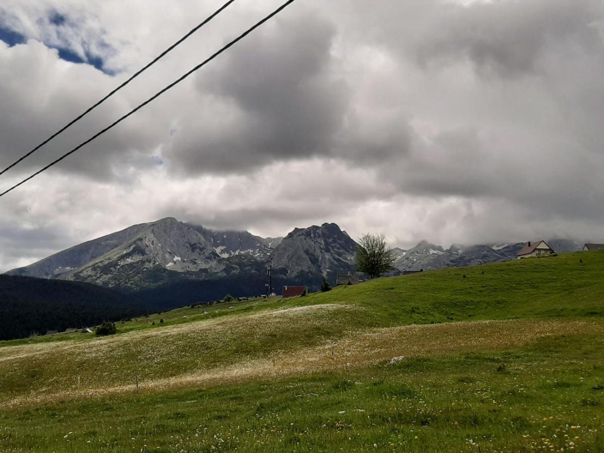 Vila Aleksandar Žabljak Esterno foto