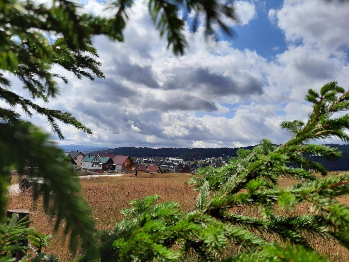 Vila Aleksandar Žabljak Esterno foto