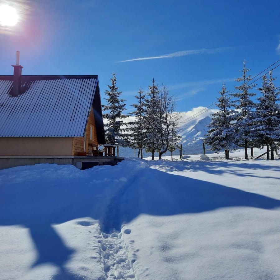 Vila Aleksandar Žabljak Esterno foto