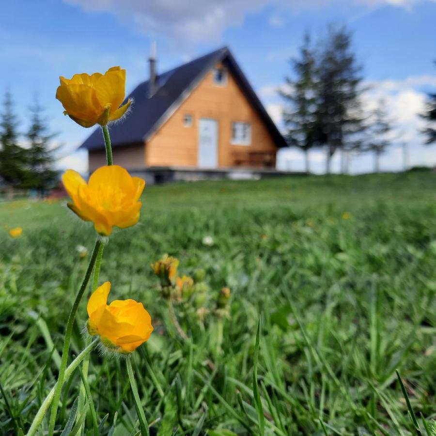 Vila Aleksandar Villa Žabljak Esterno foto