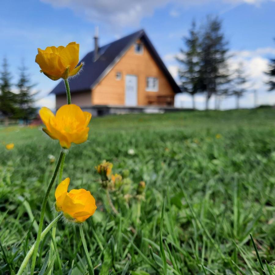 Vila Aleksandar Žabljak Esterno foto